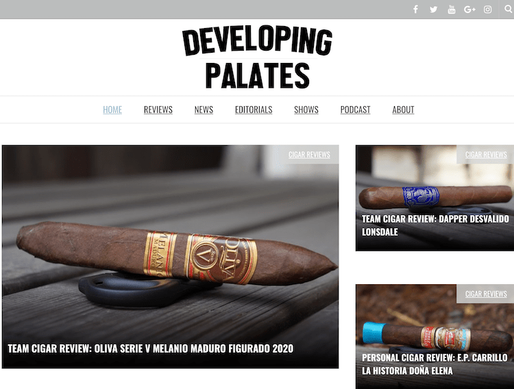 Developing Palates website screenshot